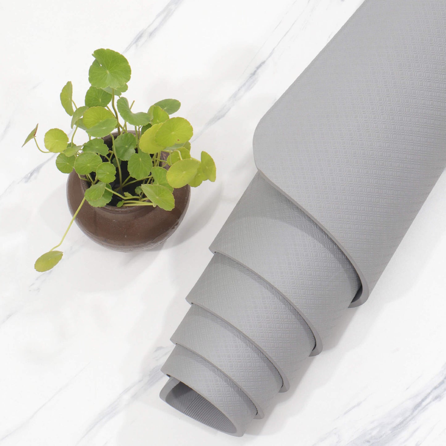 Wholesale_TPE_yoga_mat_kid_adult_size_6mm_8mm_72inches_vendor