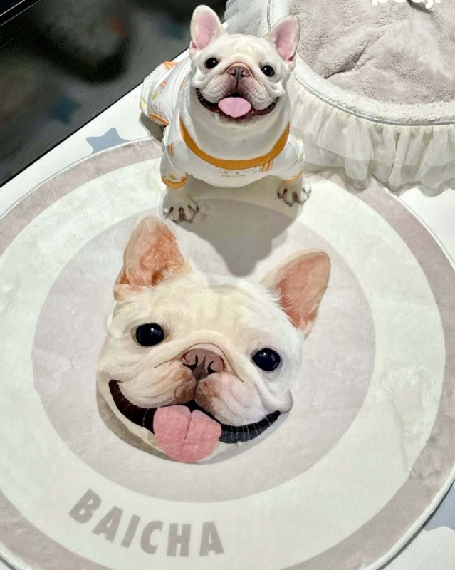 Personalized_Pet_Portrait_Rug_manufacturer