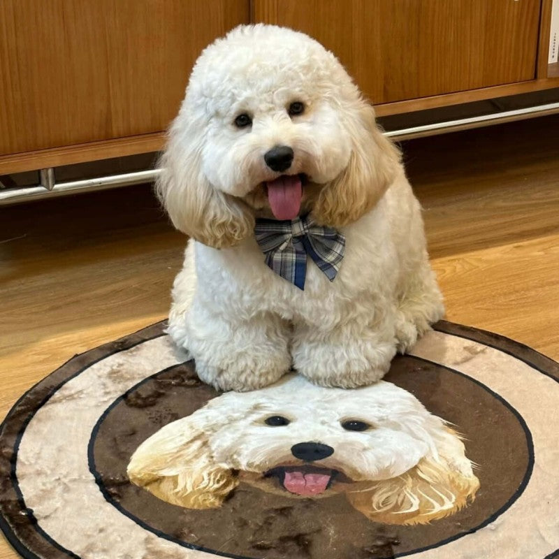 Personalized_Pet_Portrait_Rug_manufacturer
