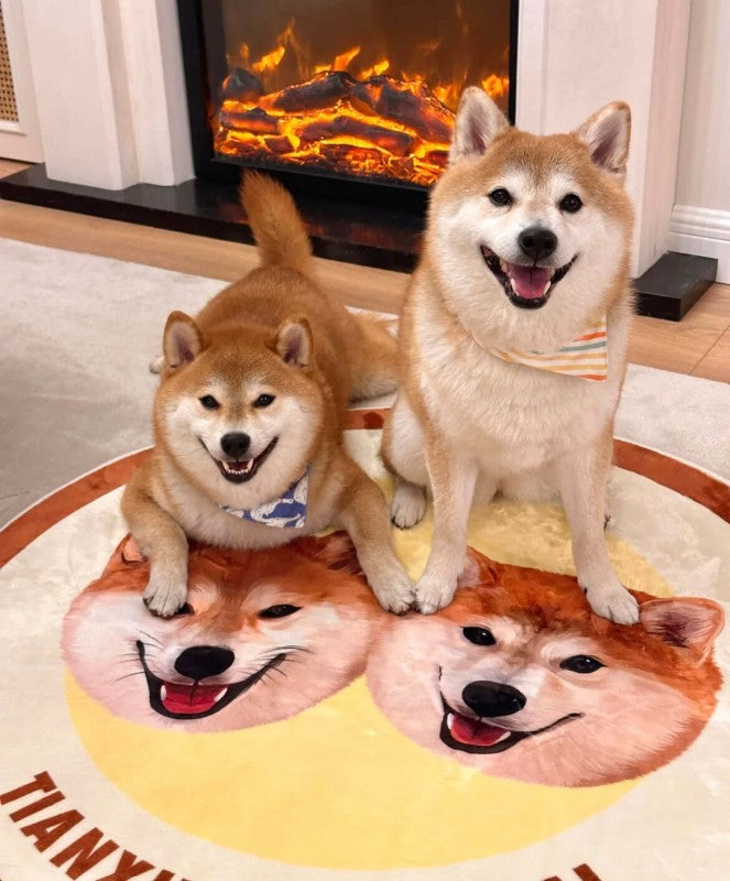 Personalized_Pet_Portrait_Rug_manufacturer